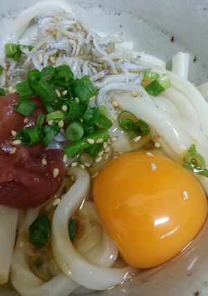 サッパリ♪梅しらす醤油うどん-レシピのメイン写真