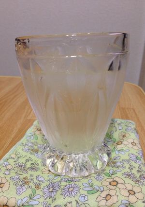 簡単！２日で飲める！梅シロップの作り方-レシピのメイン写真