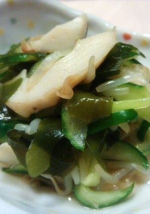簡単 きゅうりとモヤシの酢の物-レシピのメイン写真