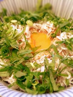 簡単♪しらす丼-レシピのメイン写真