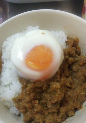 野菜とおからのヘルシーキーマカレー-レシピのメイン写真