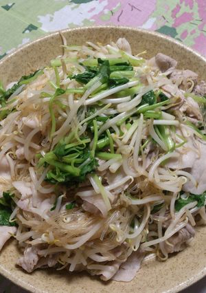 カロリー控えめ★豚肉とモヤシの酸っぱいの-レシピのメイン写真