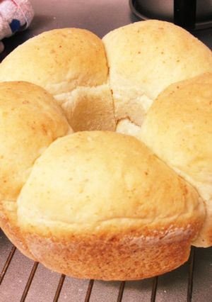 乾燥おからで、なんちゃって全粒粉パン-レシピのメイン写真