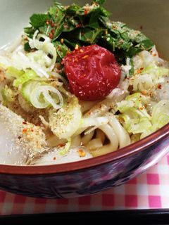 冷やしうどんサッパリ-レシピのメイン写真