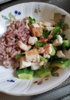いぬ飯　ゴーヤチャンプルー-レシピのメイン写真