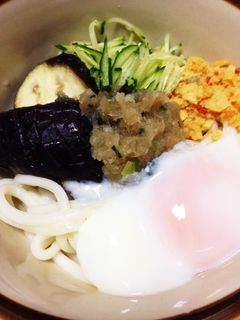 茄子のおろし冷やしうどん-レシピのメイン写真