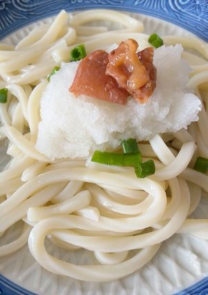 熱中症対策！簡単10分大根おろし梅うどん-レシピのメイン写真