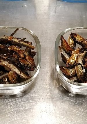 ごまめ-レシピのメイン写真