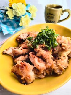 塩麹鶏むね肉のみぞれ煮-レシピのメイン写真