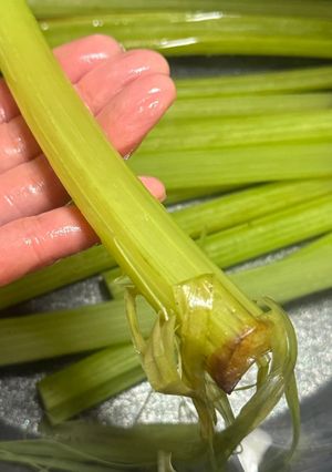 生ふきの下ごしらえ(アク抜き)-レシピのメイン写真