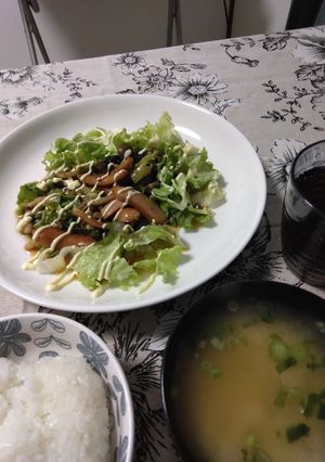 サラダ定食-レシピのメイン写真