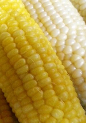 美味しいとうもろこしのゆで方-レシピのメイン写真