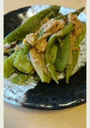 モロッコいんげんのさっと！甘辛煮-レシピのメイン写真