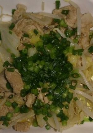 豚肉とキャベツのポン酢炒め-レシピのメイン写真