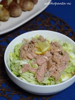 ビニール袋で☆キャベツの塩レモンサラダ☆-レシピのメイン写真