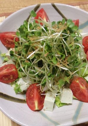 塩豆腐サラダ～金ごまづくしドレッシング～-レシピのメイン写真