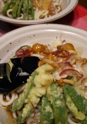ヌードルメーカー！冷やしうどん♪-レシピのメイン写真