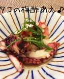 タコと大葉のさっぱり梅酢あえ♪