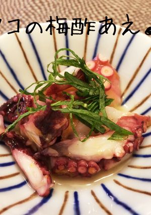 タコと大葉のさっぱり梅酢あえ♪-レシピのメイン写真