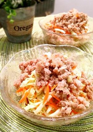 キャベツとひき肉のエスニックサラダ-レシピのメイン写真