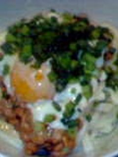 ネバネバ冷やしうどん-レシピのメイン写真