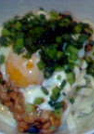 ネバネバ冷やしうどん-レシピのメイン写真