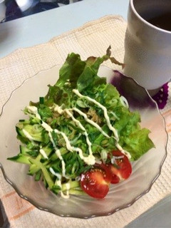 簡単!サラダうどん-レシピのメイン写真