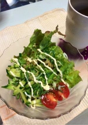 簡単！サラダうどん-レシピのメイン写真