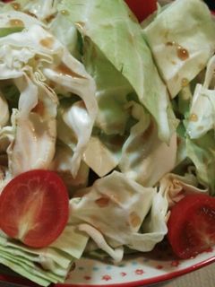 キャベツが沢山食べれるタレ-レシピのメイン写真