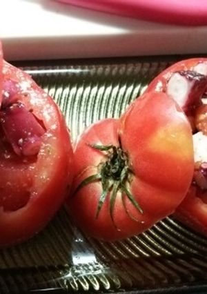 たことトマトのサラダ-レシピのメイン写真