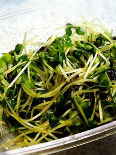かいわれ大根と塩昆布の浅漬け-レシピのメイン写真