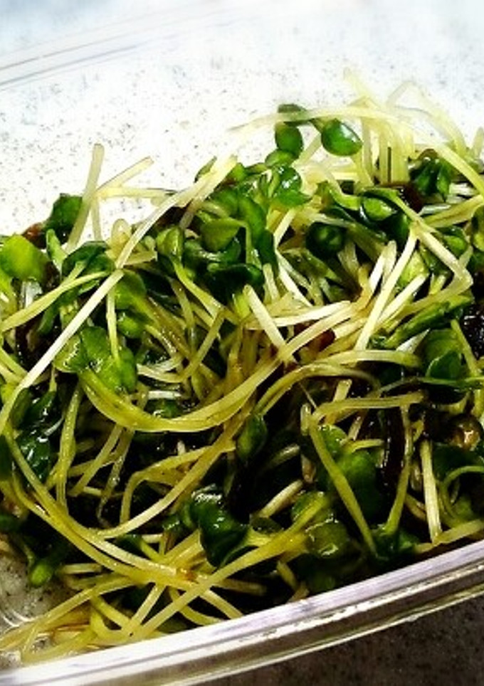 かいわれ大根と塩昆布の浅漬け-レシピのメイン写真