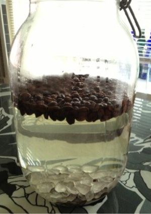 カルーア風♡自家製コーヒー酒-レシピのメイン写真