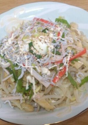 ズボラ野菜もやし冷うどん♪-レシピのメイン写真