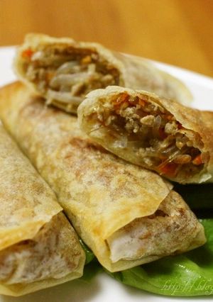 あり合わせ野菜のさっぱり春巻き-レシピのメイン写真