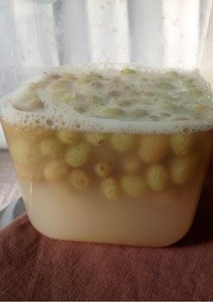 自家製酵母(グリーンレーズン)-レシピのメイン写真