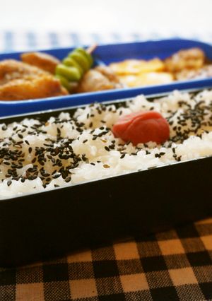 お弁当に☆胡麻塩かけ日の丸弁当-レシピのメイン写真