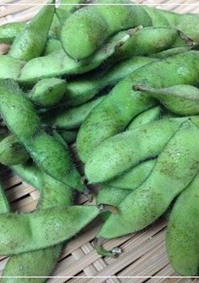 枝豆のゆで方-レシピのメイン写真