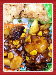 簡単弁当煮込みハンバーグ-レシピのメイン写真