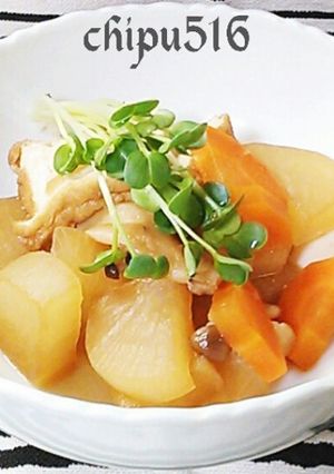超簡単10分 厚揚げと根菜の煮物 -レシピのメイン写真