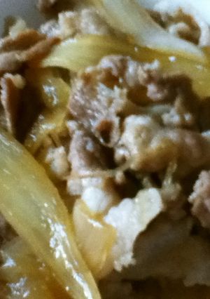 豚丼-レシピのメイン写真
