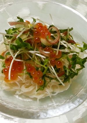 野菜たっぷりごま風味そうめん-レシピのメイン写真