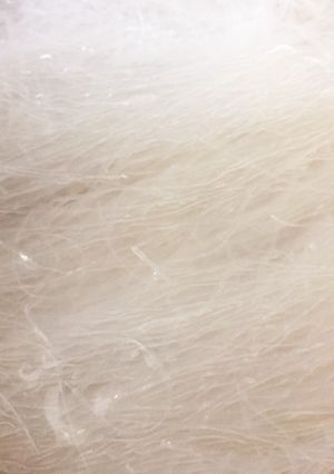 コストコ☆緑豆はるさめ☆簡単カットの仕方-レシピのメイン写真