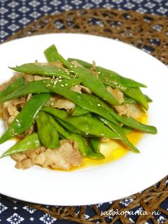 モロッコインゲンの簡単♪ピリ辛豚肉炒め☆-レシピのメイン写真