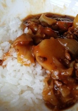 ﾁｮｯﾋﾟﾘ和風ｶﾚｰ☆生姜入り！-レシピのメイン写真