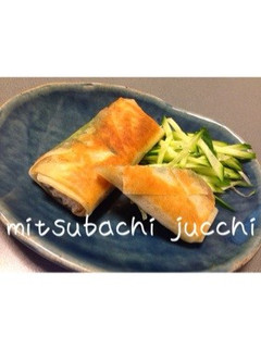 ひき肉と茄子と大葉の焼き春巻き♡-レシピのメイン写真
