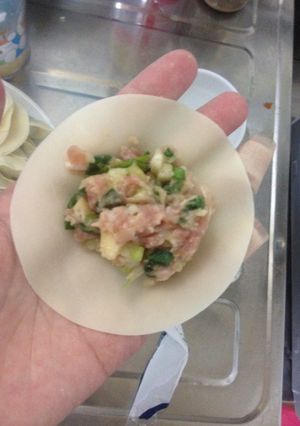 お店の立つ餃子の包み方&保存方法-レシピのメイン写真