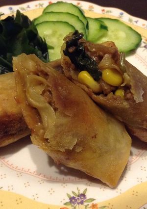食欲増進!カレールーで簡単春巻き-レシピのメイン写真