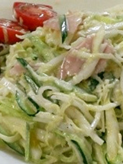 半端野菜でキャベツの千切りサラダ-レシピのメイン写真