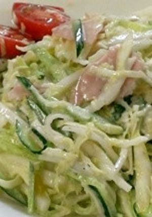 半端野菜でキャベツの千切りサラダ-レシピのメイン写真